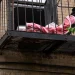 Naked Mother Throws Newborn & Toddler from Second-Floor Window in Brooklyn Incident