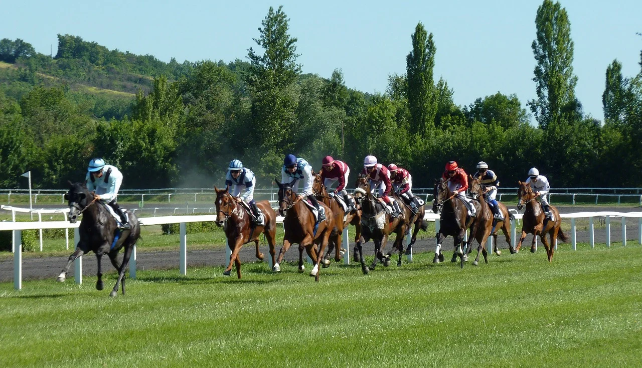 Despite a decrease in turnover, contributions to the Horseracing Betting Levy are expected to reach an all-time high of £108 million in the fiscal year 2024-25.