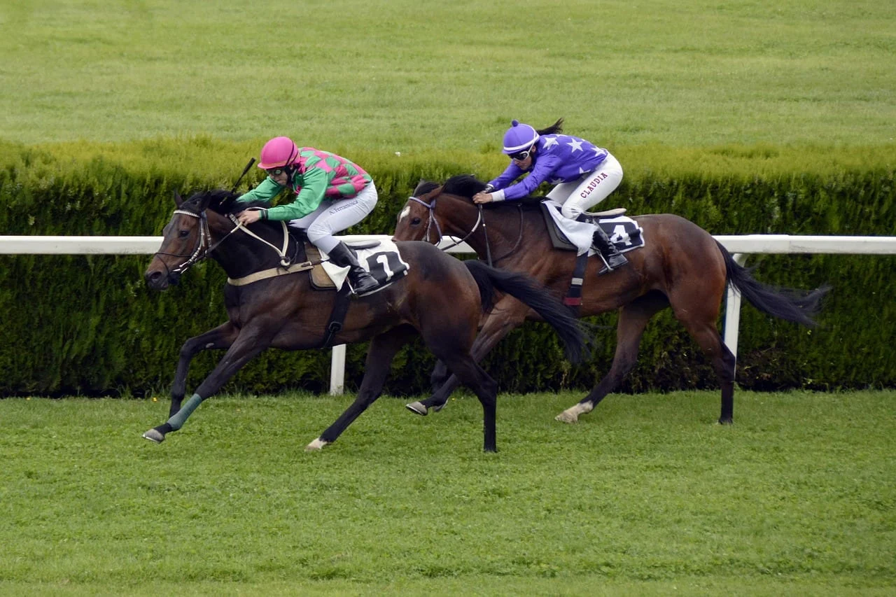 Waterhouse VC: The Tale of Star Sports and Entrepreneur Ben Keith in Establishing a Specialized Bookmaking Market