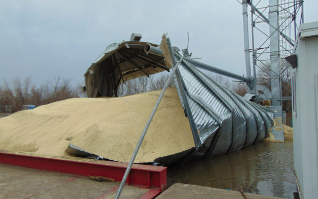 Commodities groups continues pushing for stored grain coverage