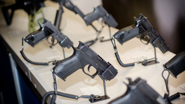 Billionaire Bloomberg pledges ‘most massive’ gun safety effort in 2020 election