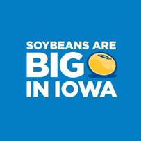 Soybean asphalt mix highlight at Farm Progress Show in Boone