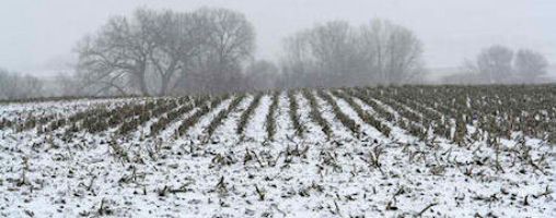 Weather service winter outlook has equal chance of warm or cold for Iowa