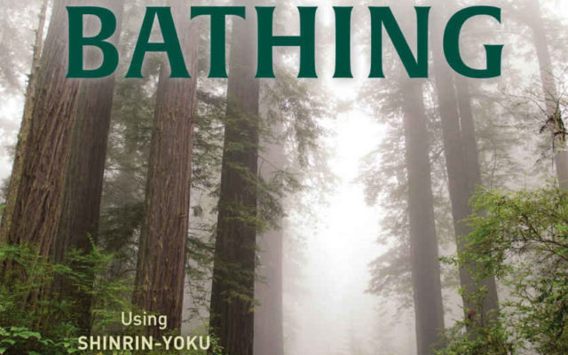 Webster City physician writes book on Japanese ‘forest bathing’ as health treatment
