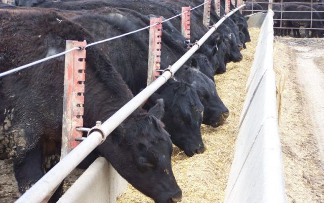 Small Iowa livestock producers benefit from federal grants