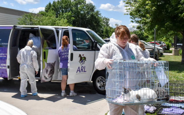 58 cats rescued from hoarding situation in Mitchell County