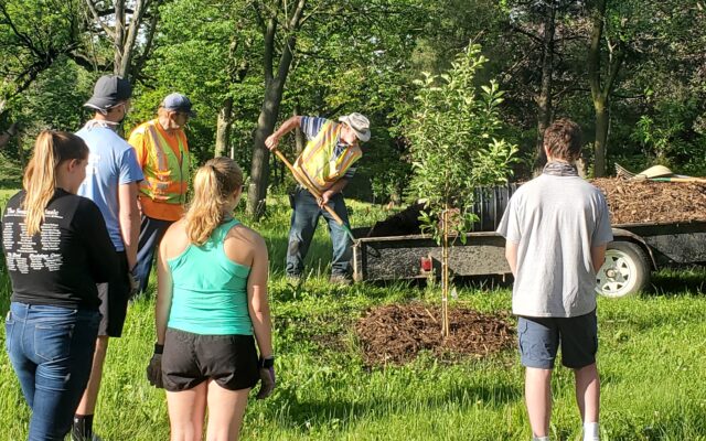 Mason City youth leadership group plants trees in flood-damaged areas as part of community service project