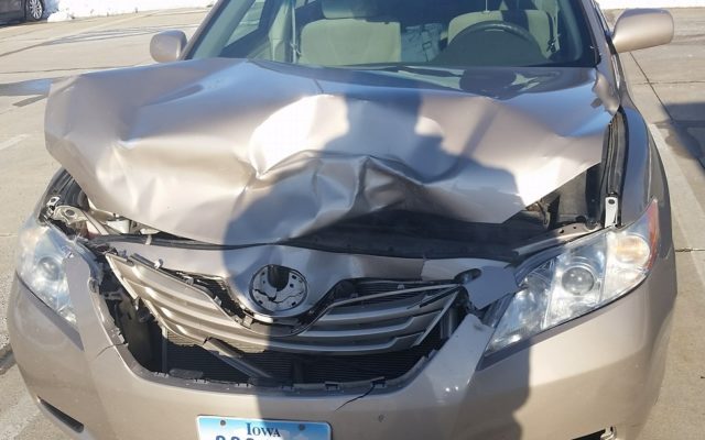 Already 5,400 car-deer collisions in Iowa this year, tips to avoid being next