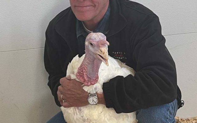Iowa turkey to be focus of White House ceremony