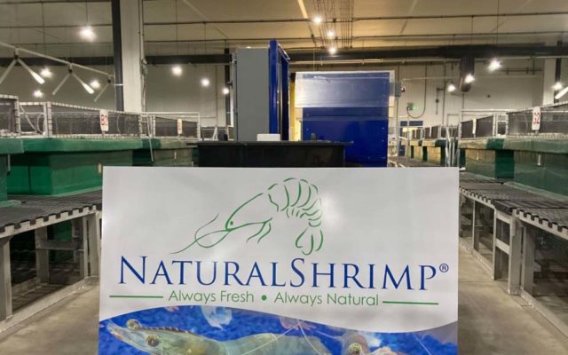 NaturalShrimp buys VeroBlue facility in Webster City