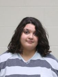 Mason City woman accused of stabbing pleads guilty to a lesser charge