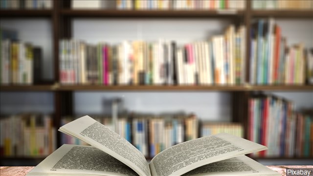 Study: Iowa lags behind other states in efforts to promote reading