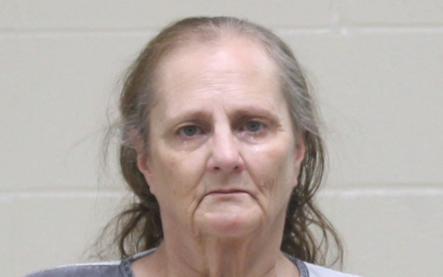 Mason City woman accused of pocketing $3350 out of local store cash register pleads guilty
