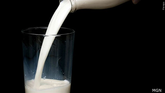 Raw milk requires more precautions to prevent bacteria growth