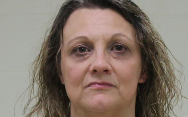 Mason City woman sentenced on meth delivery charges