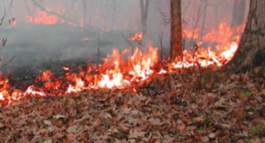 DNR program turns out 35 ready to fight wildfires across the country