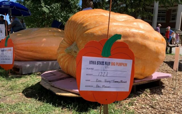 Iowa State Fair’s Big Pumpkin is a 1,221 pounder