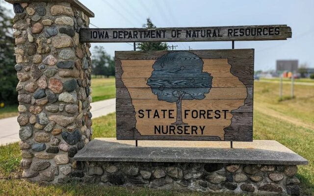 State forest nursery will start taking tree and shrub orders soon