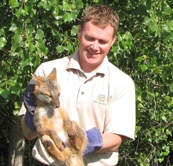 Iowa DNR research project: tracking gray fox